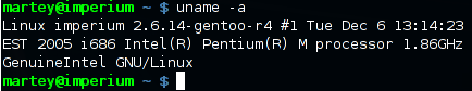 The command line in Gnome Terminal.