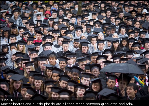 A picture of several members of the Harvard College Class of 2006 during morning exercises of Commencement.
