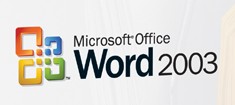 Closeup of the Microsoft Word logo from the Microsoft Word 2003 boxshot. Courtesy of www.microsoft.com.